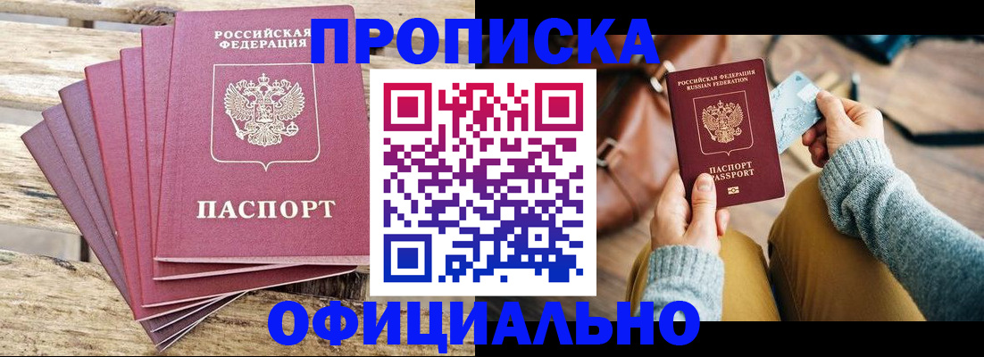 где прописаться в Камышине